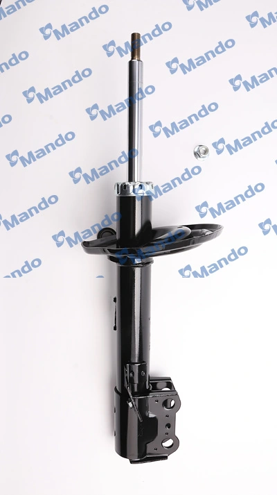 Амортизатор передньої підвіски, лівий Raiso RS339282 ціна, від 42.33 USD