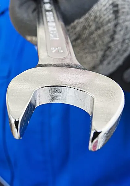 V1461N Vignal 