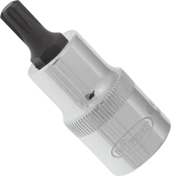 V2204 Vignal 