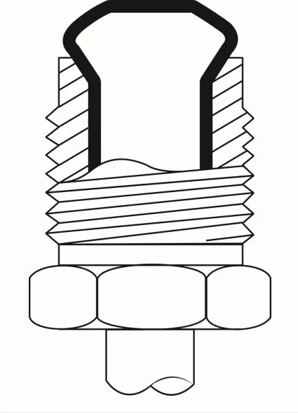 V4697 Vignal