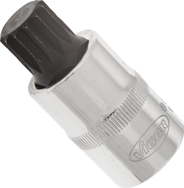 V2100 Vignal 
