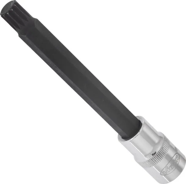 V2129 Vignal 
