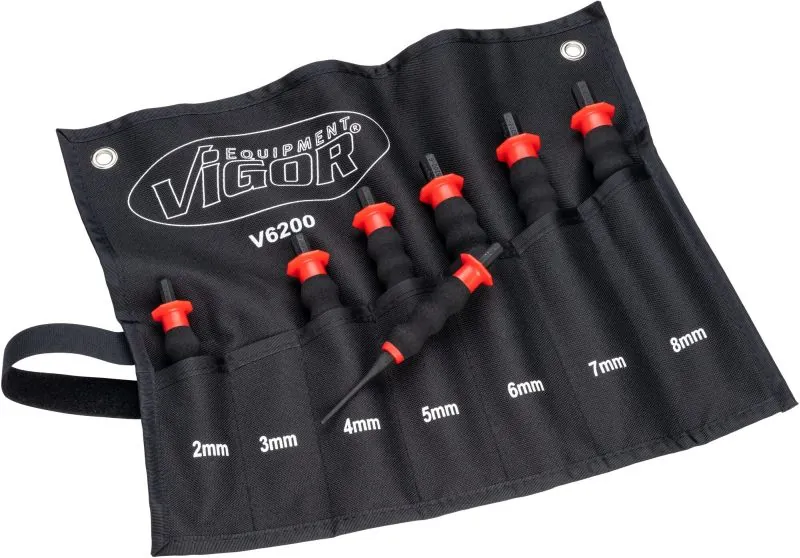  V6200 Vignal