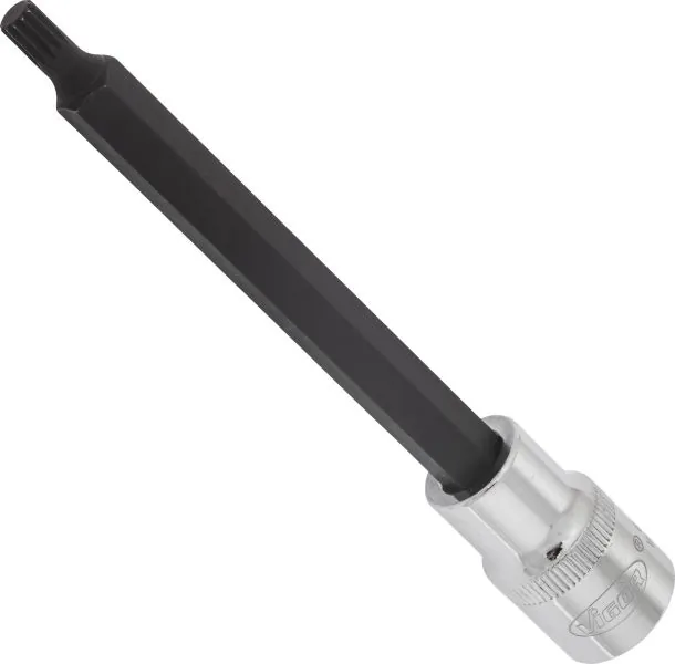 V2124 Vignal 