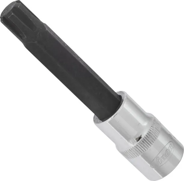 V2217 Vignal 