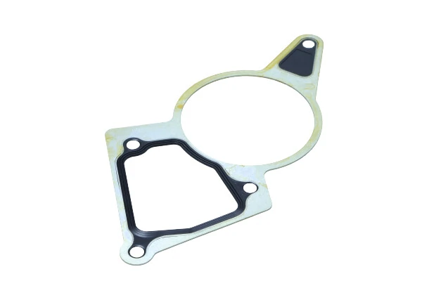 9676973280 Fiat/Alfa/Lancia Прокладка вакуумного насоса