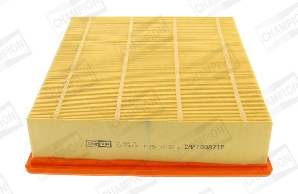 RF1106SWB Goodrem Повітряний фільтр двигуна