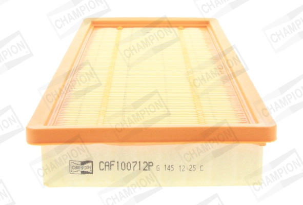 Купити PXA1115 Purflux Автомобільний фільтр повітря