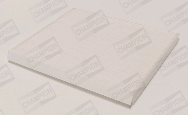 Фільтр салону RF2152WB Goodrem