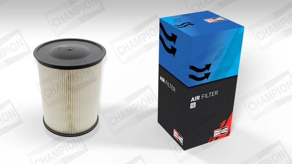RF1523WB Goodrem Повітряний фільтр двигуна