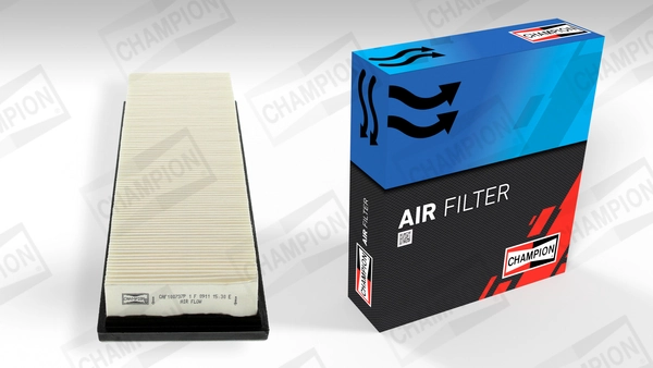 RF1198WB Goodrem Повітряний фільтр двигуна