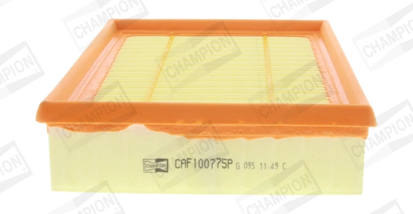 CAF100775P Champion