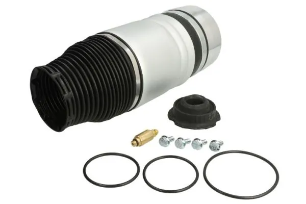 Пневморессора задня Magneti Marelli 0191AB ціна, від 236.15 USD