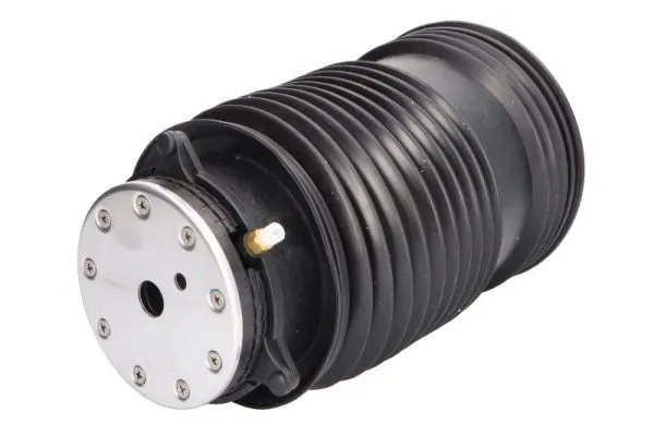 Пневморессора задня Depo/Loro/Abakus 13102316 ціна, від 181.50 USD