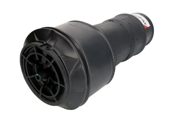 Пневморессора задня Peugeot/Citroen 00005102GP ціна, від 105.14 USD
