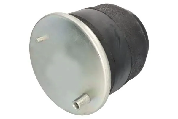 Пневмоподушка/Пневморессора моста Renault (RVI) 7421978493 ціна, від 99.92 USD