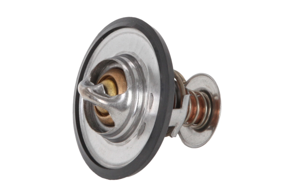 TE0051 Magneti Marelli Авто термостат