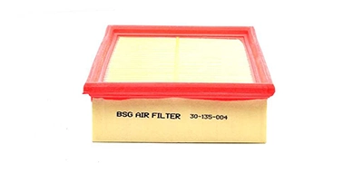 BSG30135004 BSG