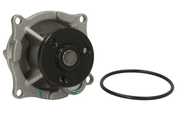 D1G002TT Thermotec Насос охолодження