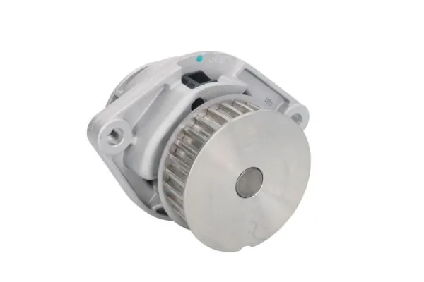 D1W019TT Thermotec Насос охолодження