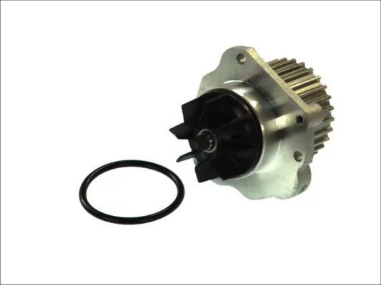 Купити Помпа Renault Laguna II BG0, BG1