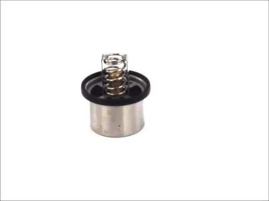 D2VO001TT Thermotec Авто термостат