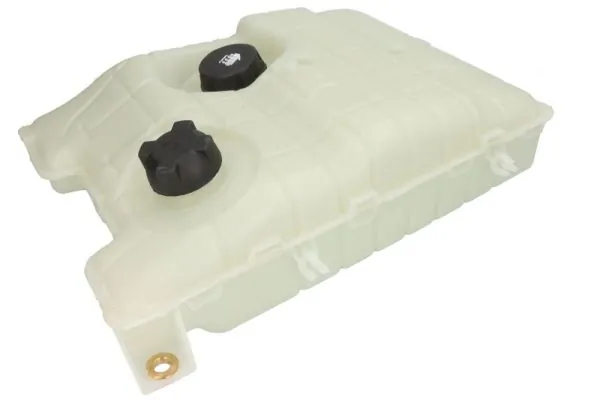 Купити 7485132205 Renault (RVI) Водяний бачок системи охолодження