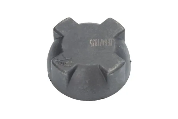 Купити 7420783957 Renault (RVI) Кришка розширювального бачка