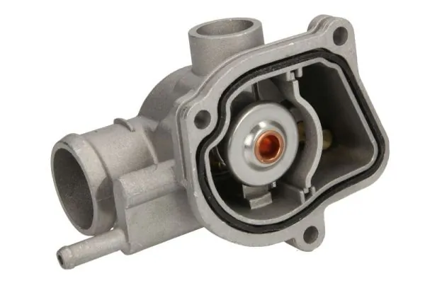 D2M008TT Thermotec Авто термостат