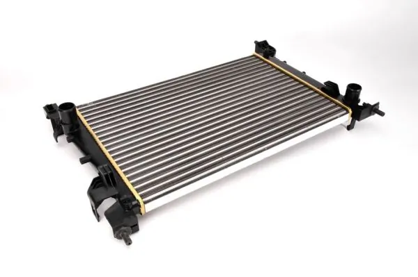 BM2004 Magneti Marelli Радіатор охолодження двигуна