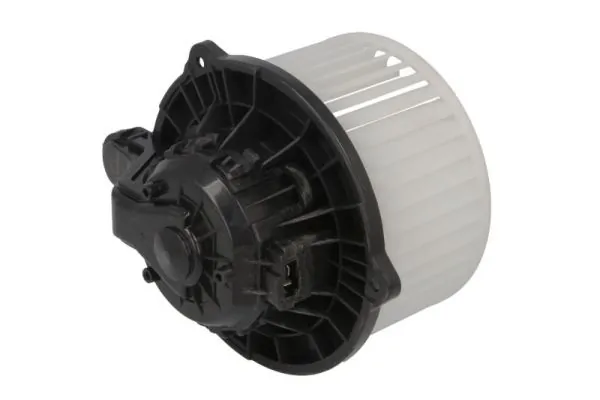 DD0301TT Thermotec Електромотор пічки