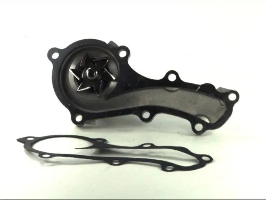 D11069TT Thermotec Насос охолодження