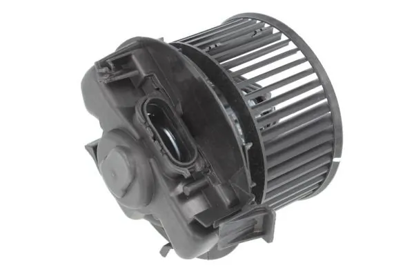 DDR014TT Thermotec Електромотор пічки