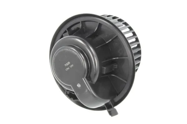 DDW014TT Thermotec Двигун вентилятора пічки (опалювача салону), задній