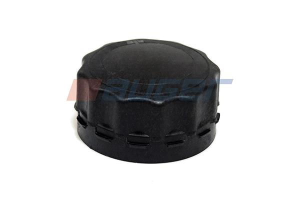 Купити 1685352 DAF Кришка розширювального бачка