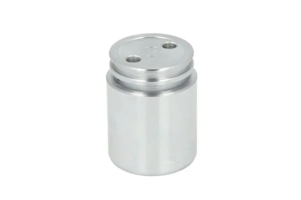 Поршень гальмівного супорта заднього Polcar ERT150763C ціна, від 8.79 USD