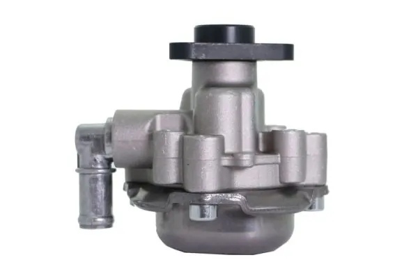 Купити 550621 Lauber Насос гідравліки
