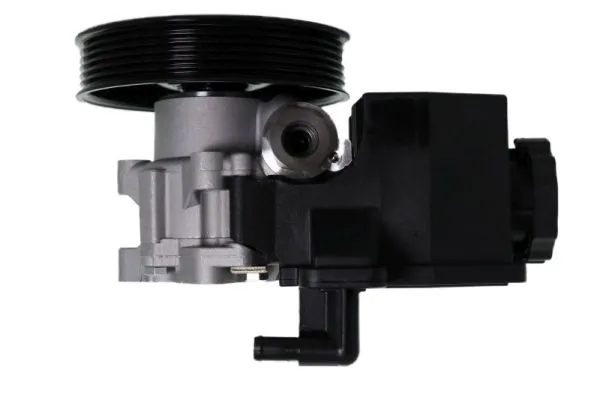 Купити 552901 Lauber Насос гідравліки