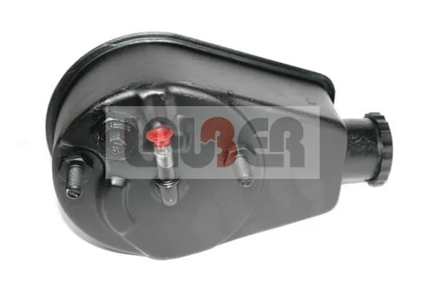 Купити Насос ГУР Renault 19 I B53, C53