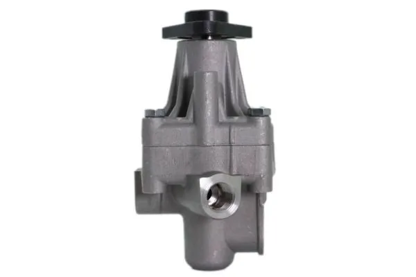 Насос ГПК Lauber 555281 ціна, від 84.62 USD