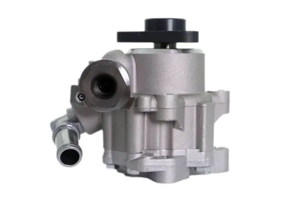 Купити 555133 Lauber Насос гідравліки