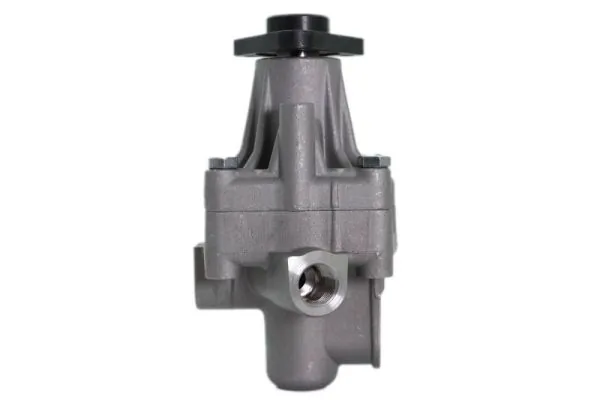 Насос ГПК Lauber 555280 ціна, від 67.92 USD