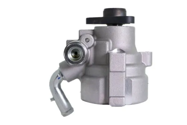 0053595 GKN-Spidan Насос гідропідсилювача