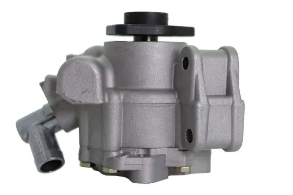 Купити 551031 Lauber Насос гідравліки