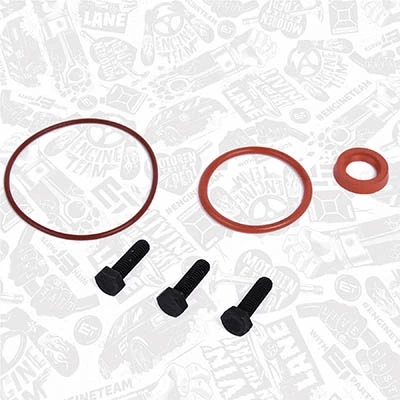 ENT410010 ET Engineteam Ремкомплект вакуумного насоса