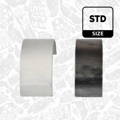 Вкладиші шатунові Renault Scenic II