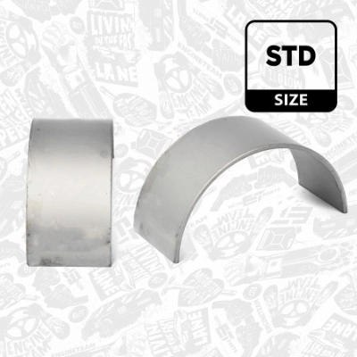 Купити Вкладиші шатунні Ford Transit VII V363