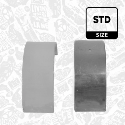 Шатунні вклалиші колінвала STD Volkswagen Golf IV хетчбек (1J1) (1997 - 2008) ціна, від 16.83 USD