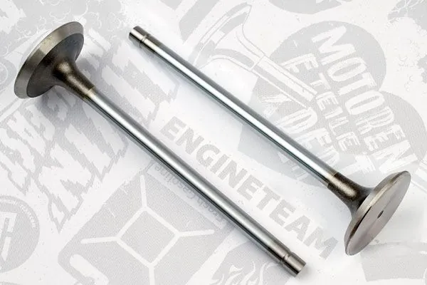 Вихлопний клапан Renault (RVI) 5000670730 ціна, від 4.17 USD