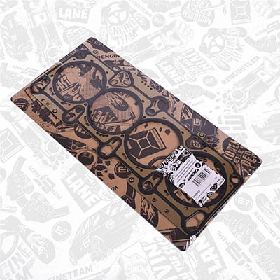 Прокладка головки блока циліндрів (ГБЦ) Audi A6 C6